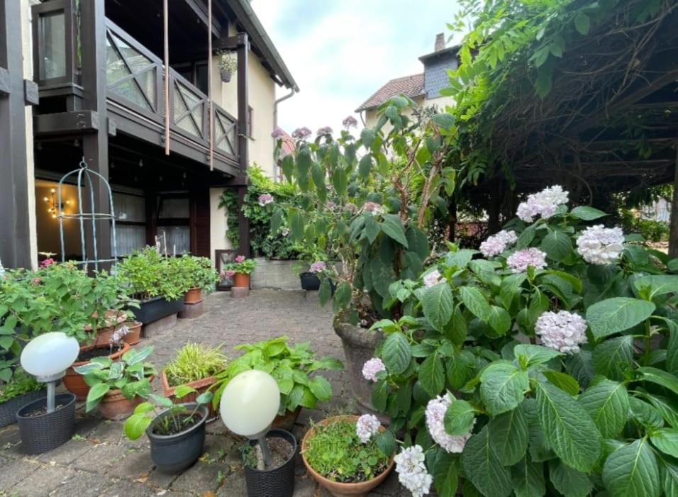 Apartment Gerberbachviertel Weinheim Exteriör bild